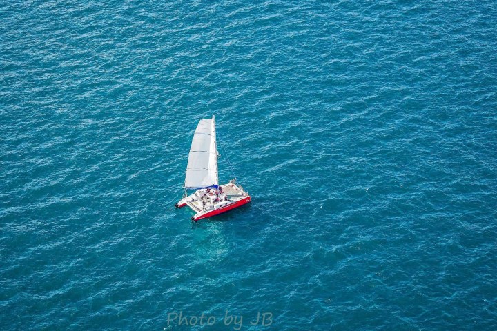 Shearwater 2 wildlife watching sailing