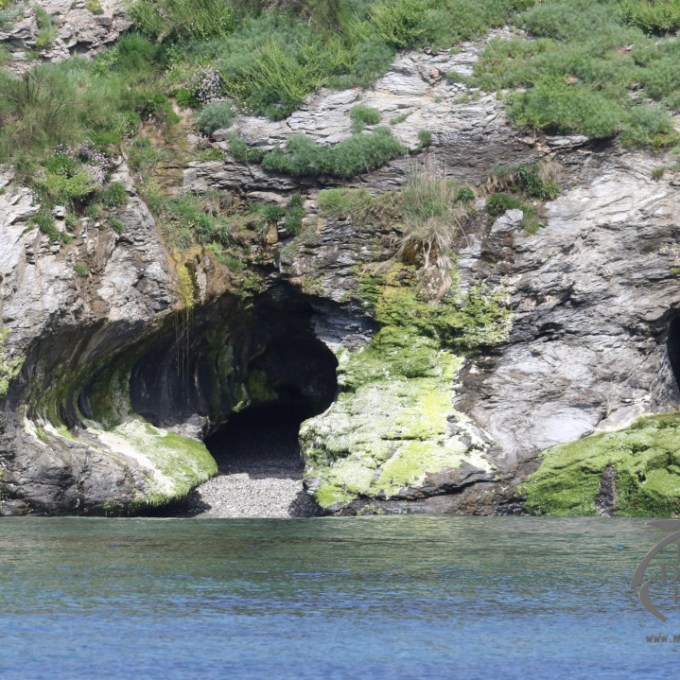 Cave in Stackhouse Cove