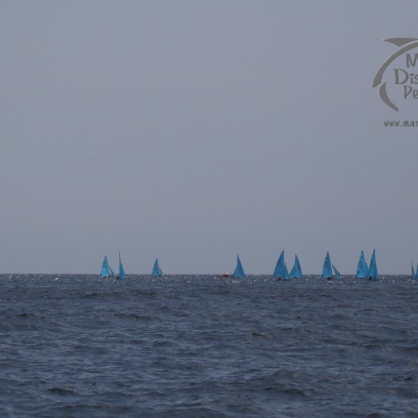 sailing race