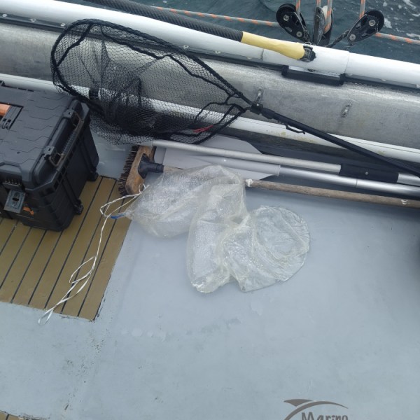 plastic bag we pulled out of the water