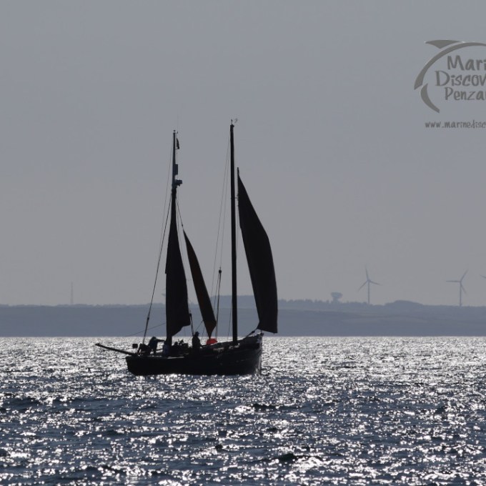 A Cornish Lugger