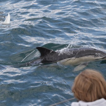a person swimming in a body of water