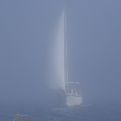 yacht in the fog