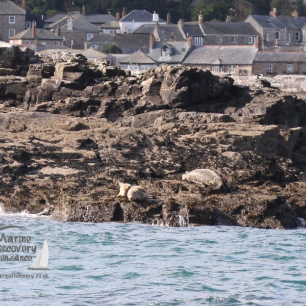 water next to the rock