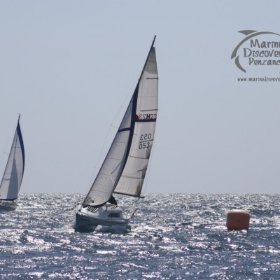 racing yachts