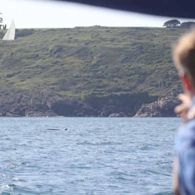 Duncan spots a whale