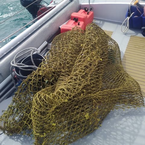 retrieved fishing net
