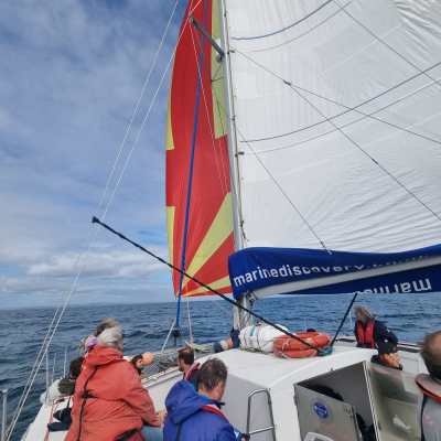spinnaker sailing