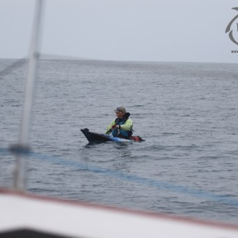 Rupert the Lone Kayaker