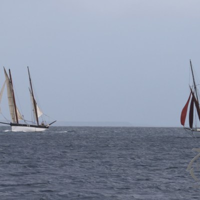 Sailing boats