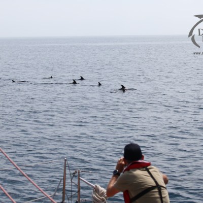 a man in a boat on a body of water