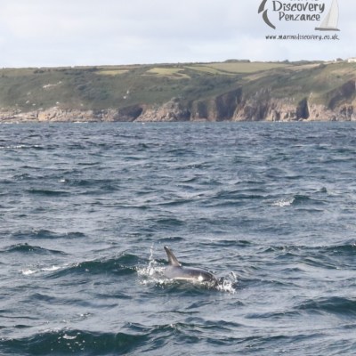 a body of water next to the ocean