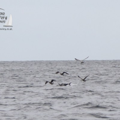 a body of water next to the ocean