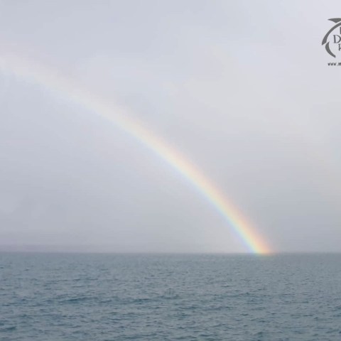 a rainbow over water