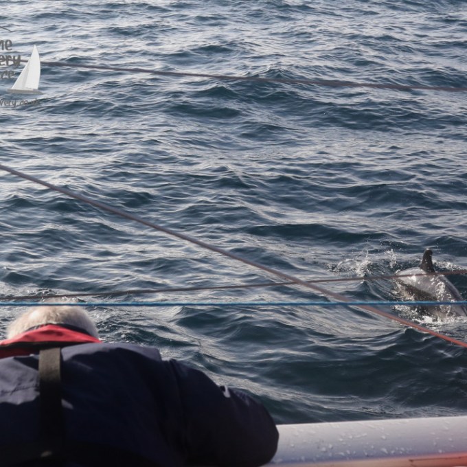 customer with dolphin