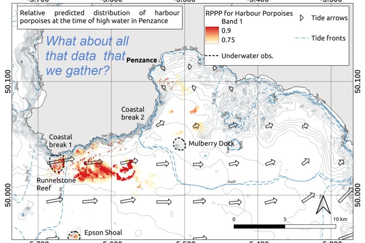 A map showing harbour porpoise distribution.