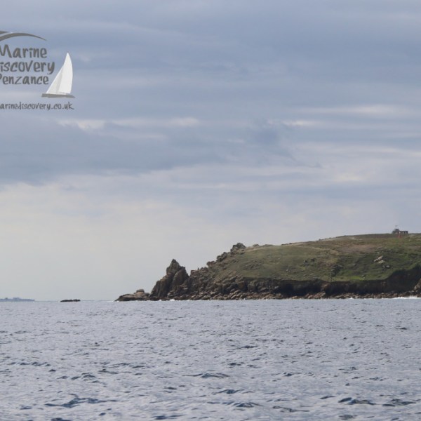 Gwennap head