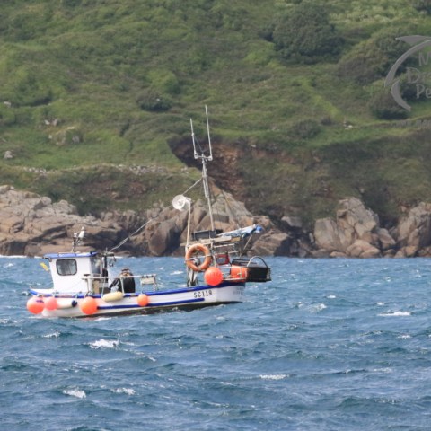 fishing boat in front of coast