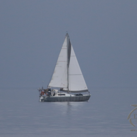 boat in fog