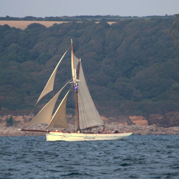 A sailboat with beige sails on the water near a wooded coastline.