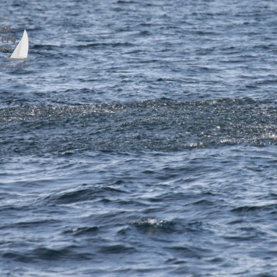 Ocean surface with small waves and a darker patch of water indicating possible fish or a current.