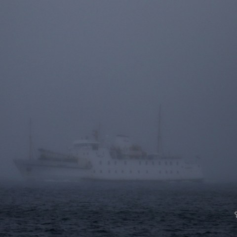 A large ship is barely visible through thick fog on the sea.