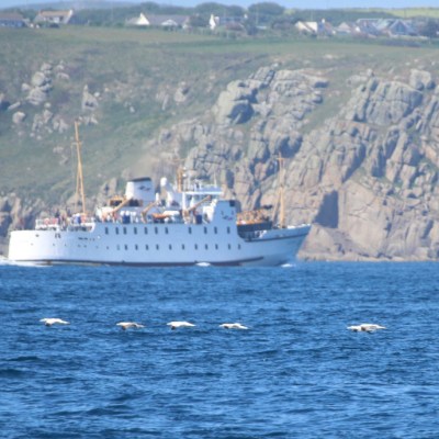 A ferry sailing past a rocky coastline with four birds flying low over the water.