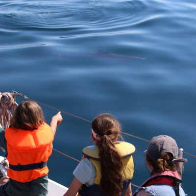 Three people in life vests on a boat observing calm ocean water ripples.