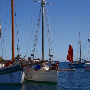Sailboats gathered on a calm sea under a clear blue sky.