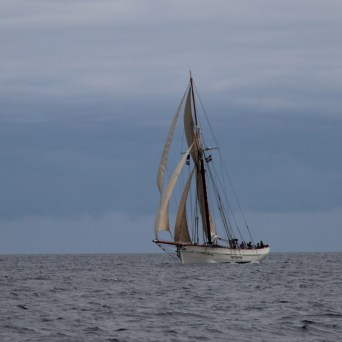 Sailing ship with beige sails on calm sea under cloudy sky.