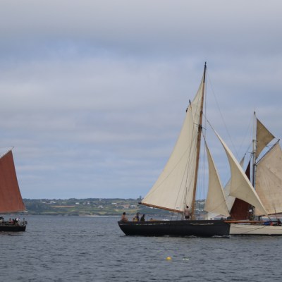 Three sailboats with different colored sails on a calm sea under a cloudy sky.