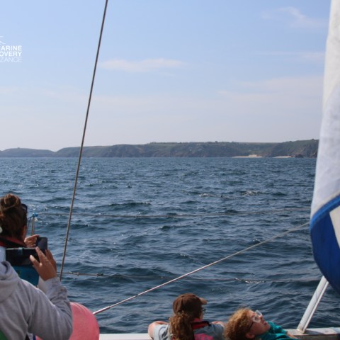 People on a boat looking at the ocean and distant coastline.