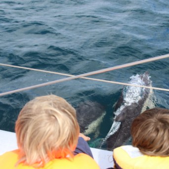 Two children wearing life vests watch dolphins swimming near a boat.