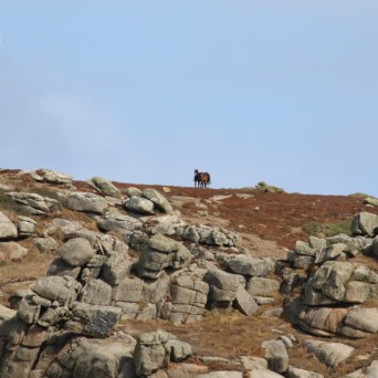 Two horses stand on a rocky hill under a cloudy sky.