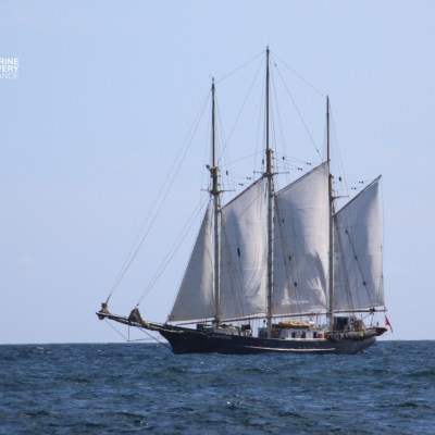 A large sailing ship with three masts on a calm sea.