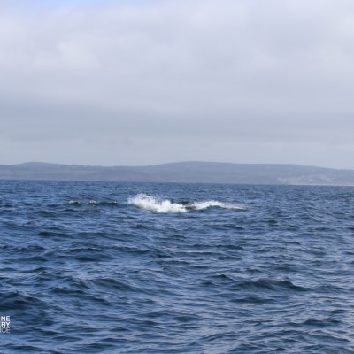Ocean view with distant land and splashing water.