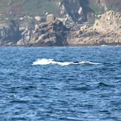Ocean with distant rocky shore under a clear sky.