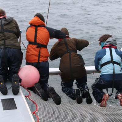 Four people in harnesses lean over a boat's edge near the ocean.