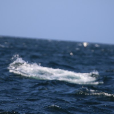 Wave cresting in a blue ocean under a clear sky.