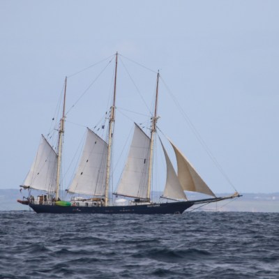 Tall ship with white sails on a cloudy day in open water.