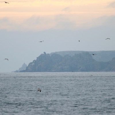 Seascape with distant rocky cliffs and birds flying over calm water at sunset.